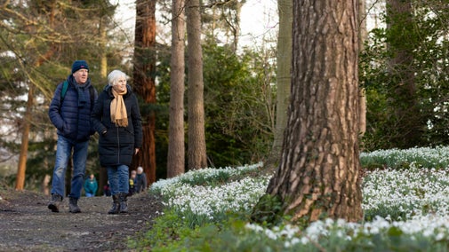 Two people walking through on a path through woodland in the grounds of Chirk Castle, Wrexham, Wales